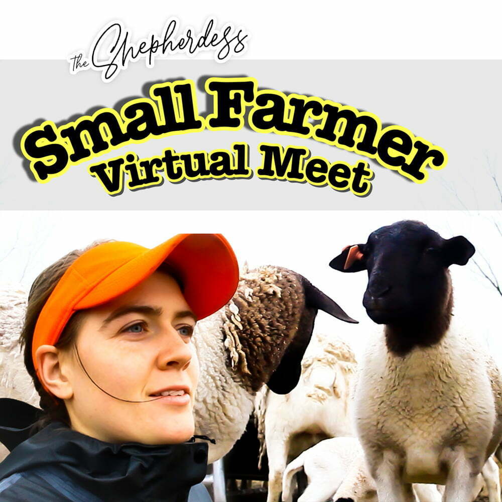 Small Farmer For Profit networking event