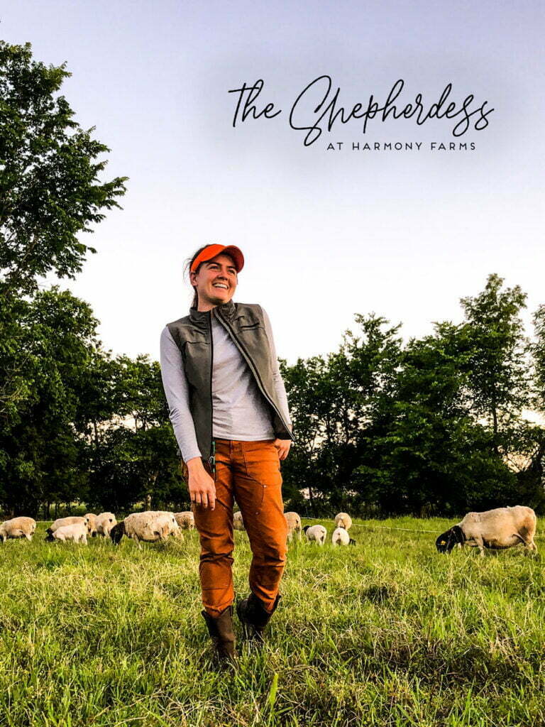 The Shepherdess at Harmony Farms