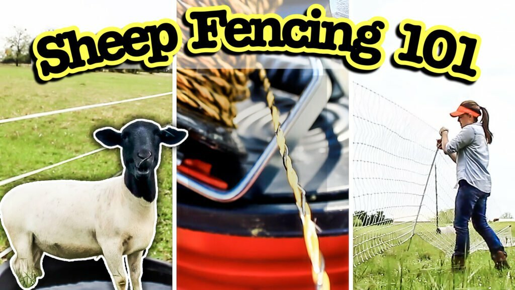 Electric Fence for Rotational Grazing Sheep