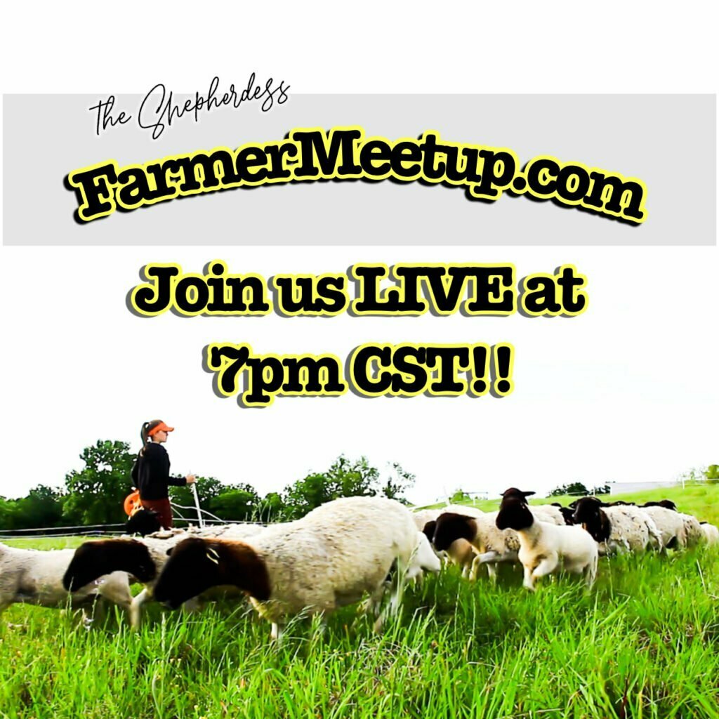 Small Farmer Virtual Meetp