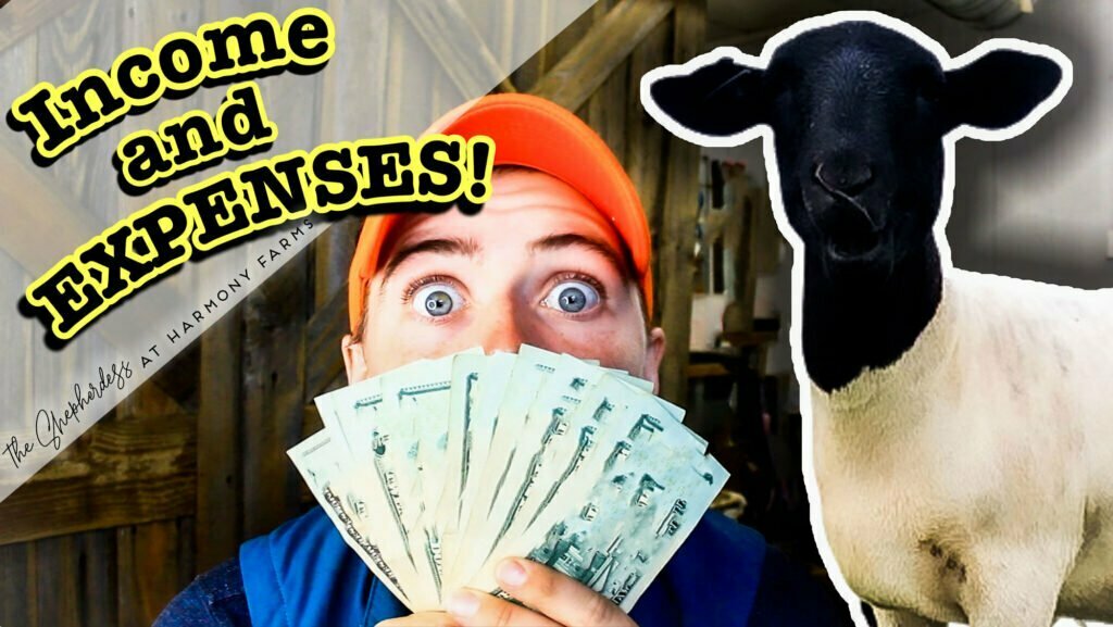 Sheep Farm Business Plan Income and Expenses
