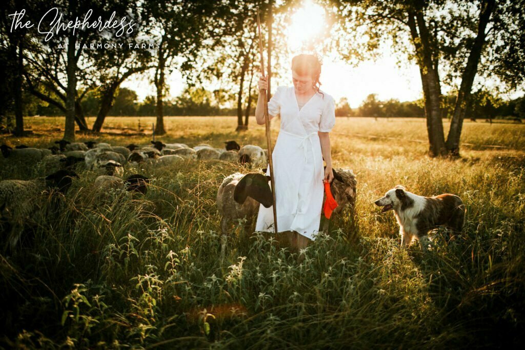 the Shepherdess at Harmony Farms