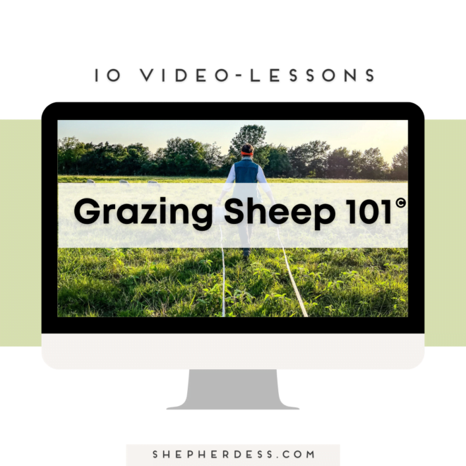 Grazing Sheep on Small Acreage 101 (10 Video Lessons)