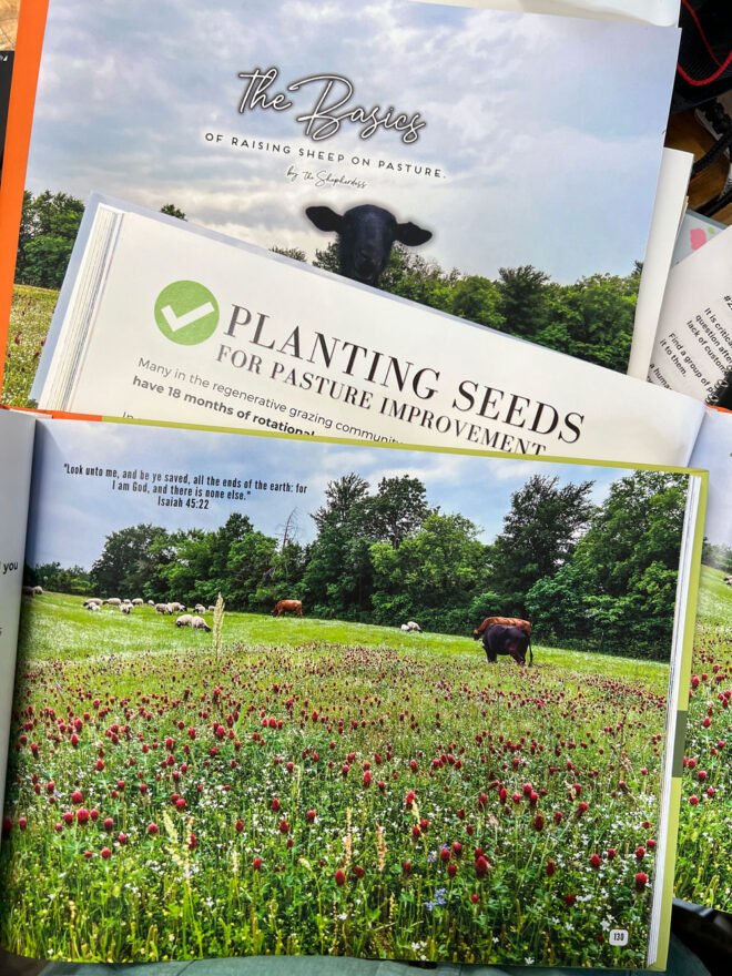 Raising Sheep Book Bundle (3 Books) - Image 4