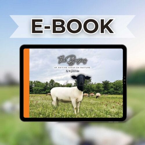 (E-BOOK) The Basics of Raising Sheep on Pasture