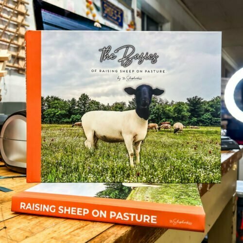 (E-BOOK) The Basics of Raising Sheep on Pasture