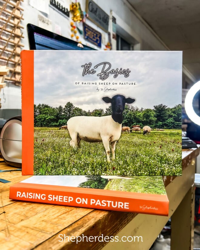 The Basics of Raising Sheep on Pasture | A Book for Beginners in Sheep
