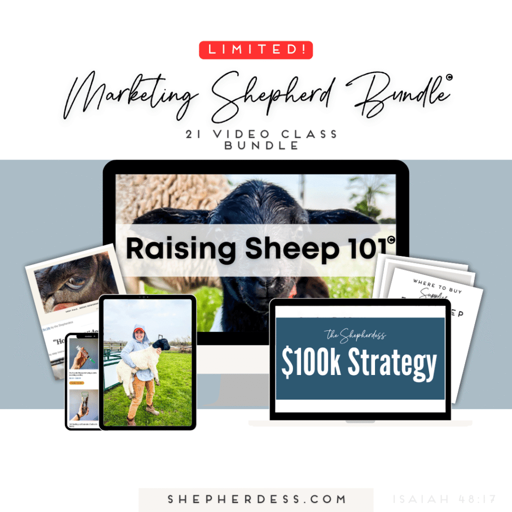 LIMITED Marketing Shepherd Kickstart BUNDLE (Video Training)