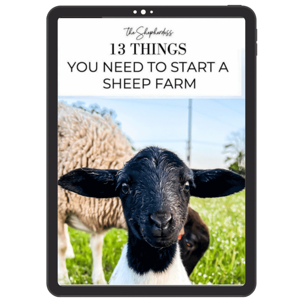 This image has an empty alt attribute; its file name is 13-things-to-raise-sheep-ebook-1024x1024.png