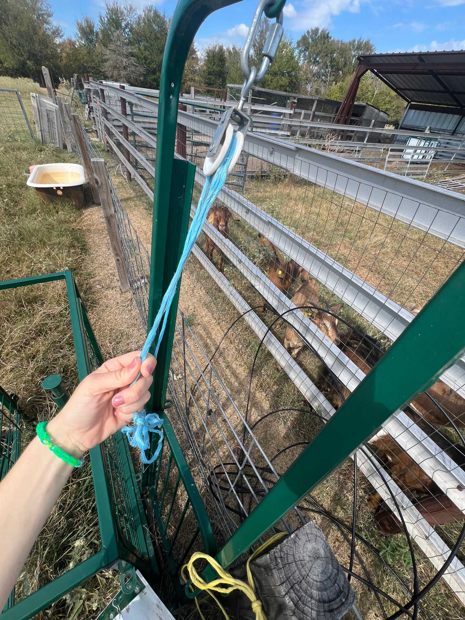 Lakeland Sheep and Goat Handling System - Image 4